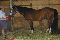 ������ (MORAEJEONTU) ����