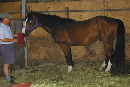 ������ ����