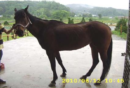 ��Ű���ڸ� ����