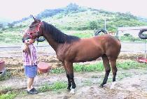 �𷡾�� (MORAEEONDEOK) ����