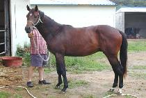 �𷡽��� (MORAESEUNGJA) ����