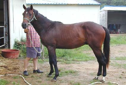 �𷡽��� ����