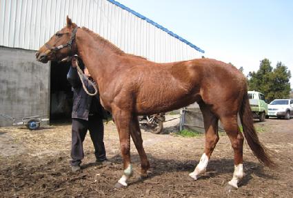 �ٴ����� ����