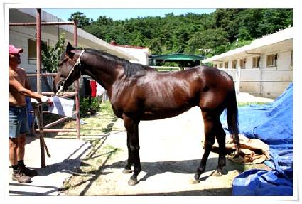 ����̹� ����