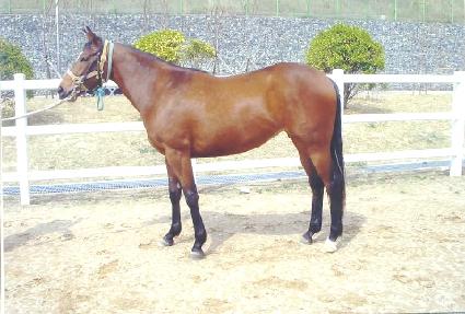 �¸��ǳ��� ����