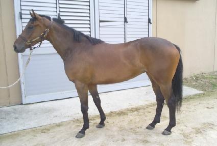 õ�繫�� ����