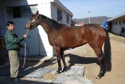 �ٴ��� ����