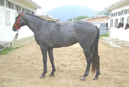 ���õ�� ����