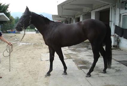 û���ǹٴ� ����