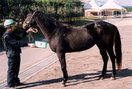 ��̸� ����