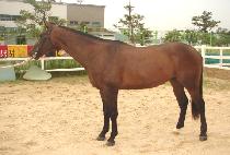 ���赶�� (SEGYE DOKJU) ����