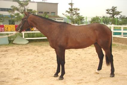 ���赶�� ����