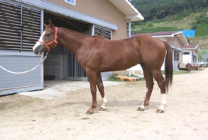 �¾缱 ����