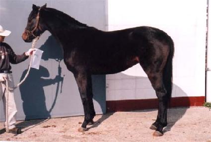 �߹�õ�� ����