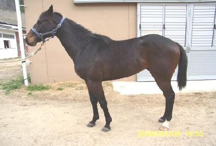 ���θ���Ʈ ����