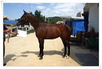 ��弼�̺� (GOLD SAVE) ����