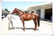 ������� (JEONGSEONGGIUN) ����