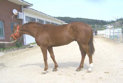 ����ȣũ ����