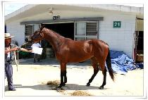 ������ (JEONGSEONGSIN) ����