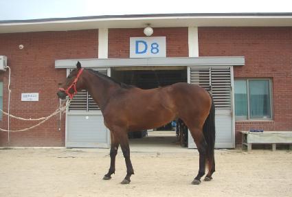 �������� ����