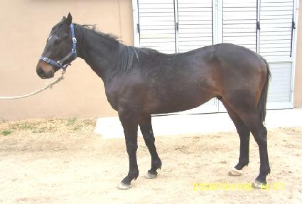 ��ȣ���� ����