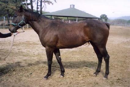 �����ǿ��� ����