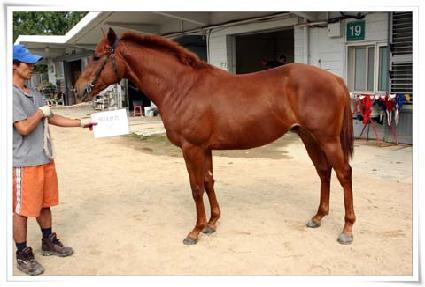 ������ĭ ����