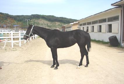 �����α׽ô� ����