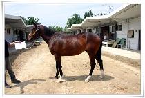 ��Ż�� (POTALA) ����