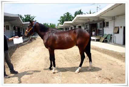 ��Ż�� ����