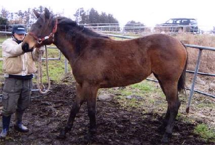 �������� ����