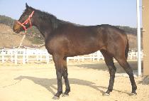 �ְ��� (CHOEGOSU) ����