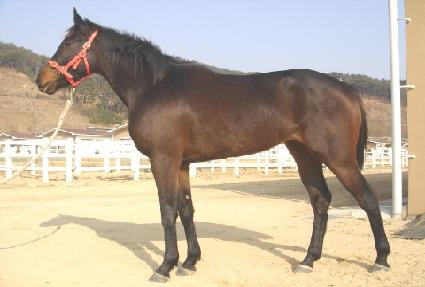 �ְ��� ����