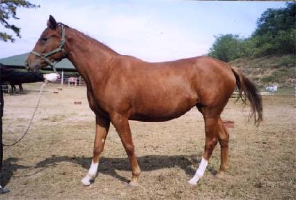 ���ְ��� ����