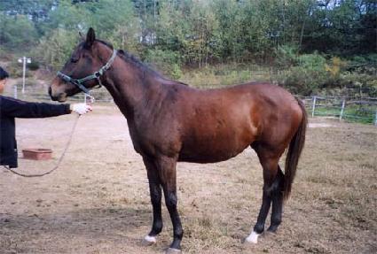 ���� ����