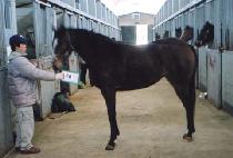 Ǫ���ٴ� (PUREUNBADA) ����