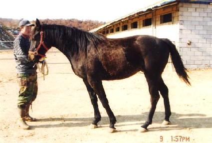 �̽����� ����