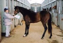 ������Ƽ (MUBIHEARTY) ����