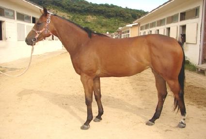 Ȳ���� ����