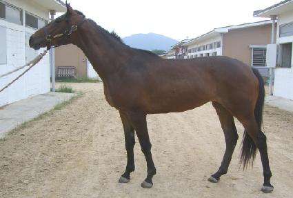 �����ȭ ����