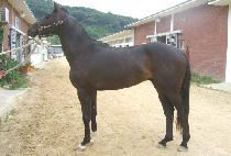 ǻó���� (FUTURE VISION) ����