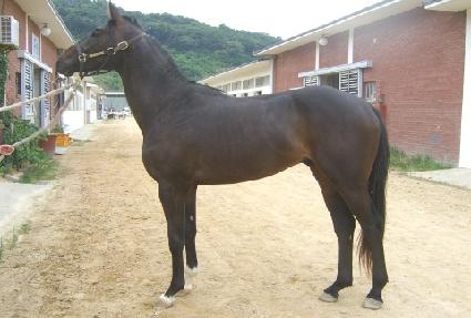 ǻó���� ����