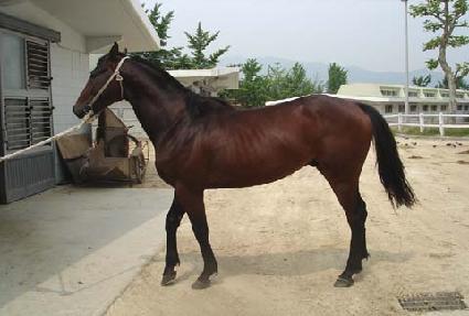 ��Ű���� ����