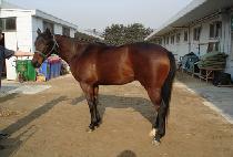 �����ϴ� (GAEULHANEUL) ����