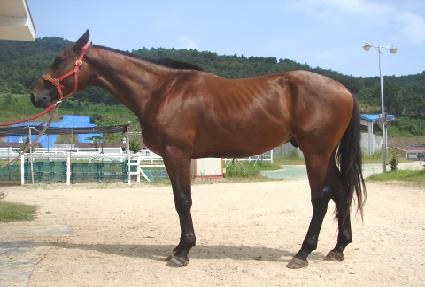 �������� ����