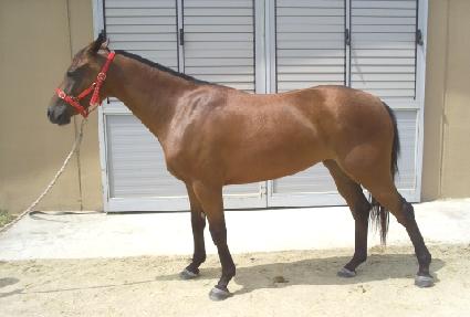 �����ǵ� ����