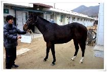 �糪�� (SANAI) ����