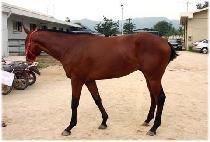 �±ذ��� (TAEGEUKGANGJA) ����