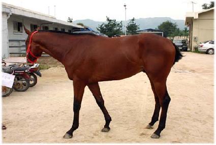 �±ذ��� ����