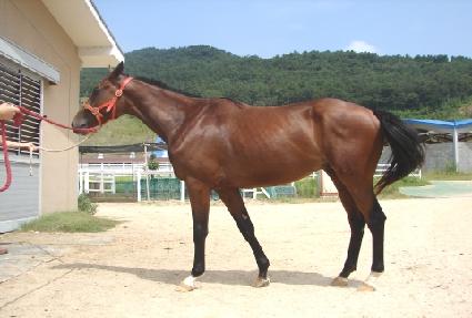 ��꿵�� ����